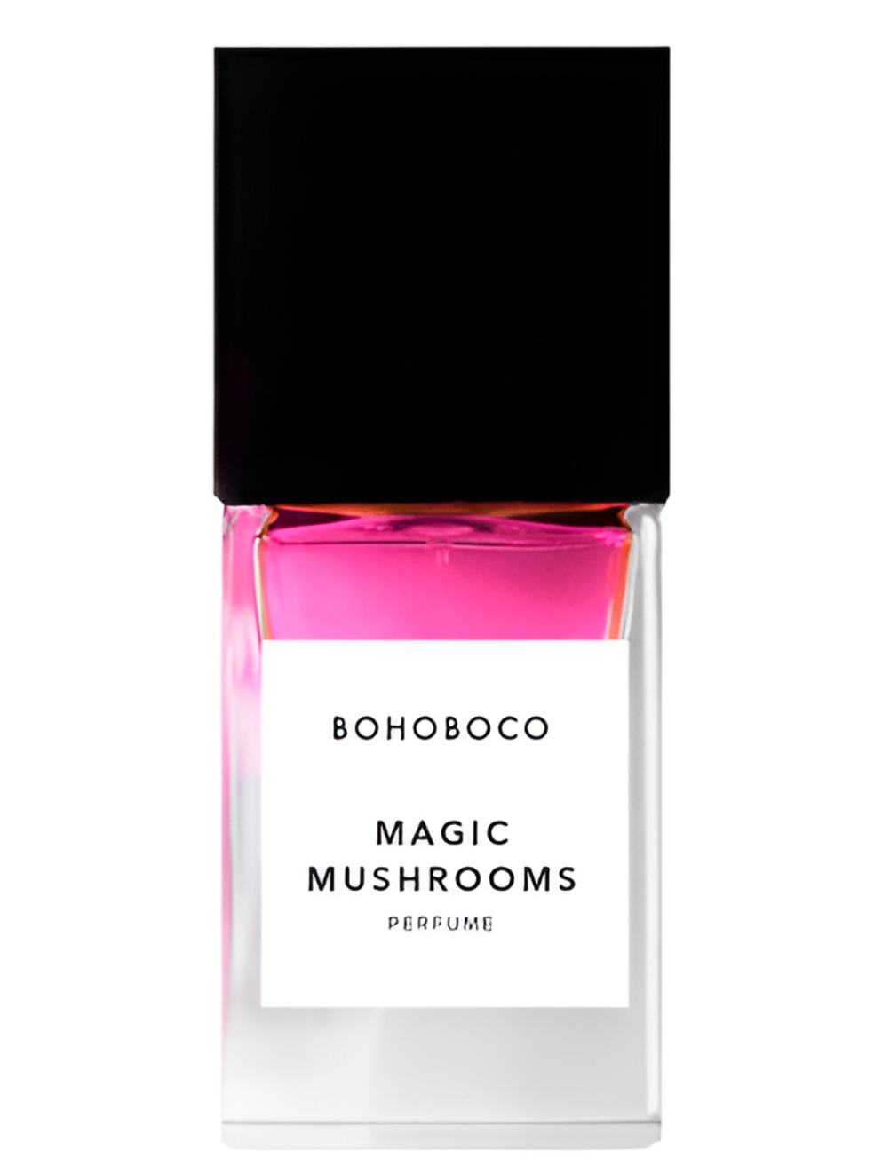 Bohoboco Magic Mushrooms